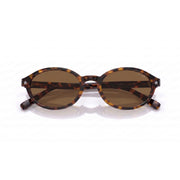 Tortoise Brown