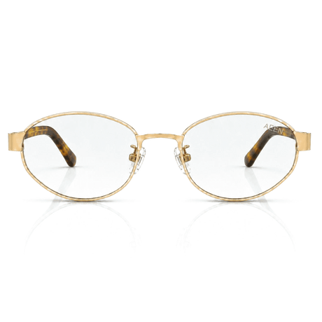 AEEN 90s Slim Oval Metal Sunglasses – Retro Tinted Eyewear | RD-07